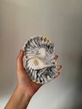 ClamShell dish